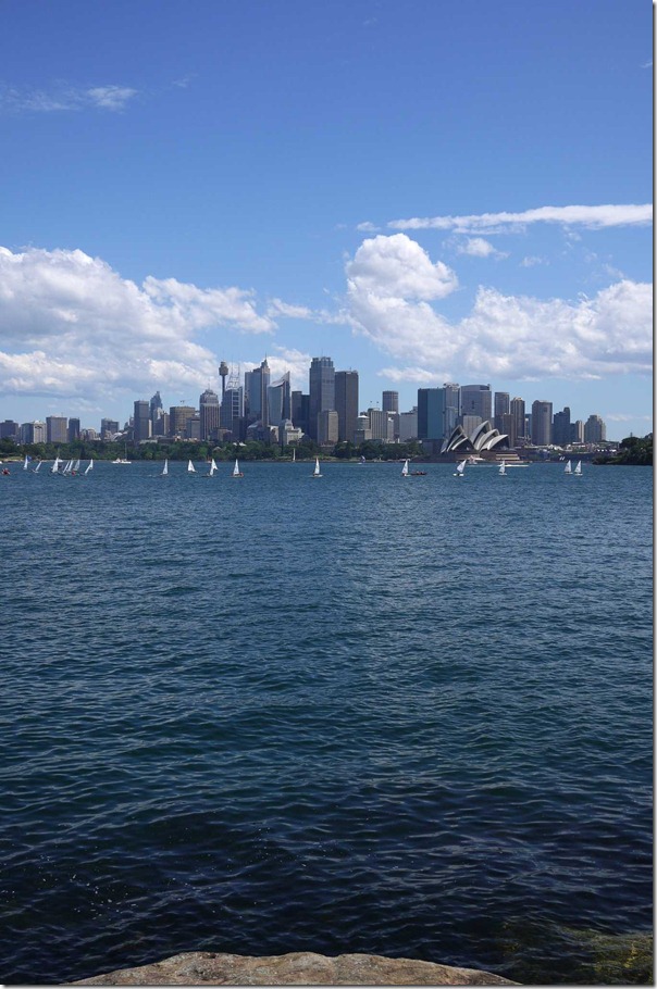 Sailboats in Sydney harbour and skyline from Cremorne Point