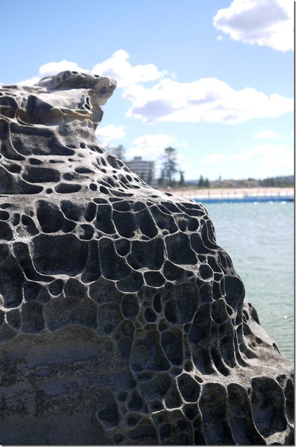 Rock formation at Dee Why beach