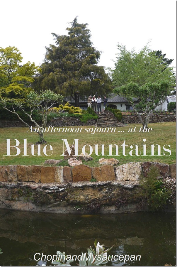 An afternoon sojourn at the Blue Mountains