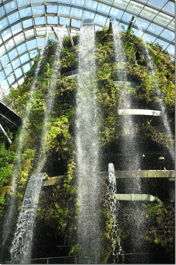 Majestic: Waterfall in the Cloud Forest conservatorium
