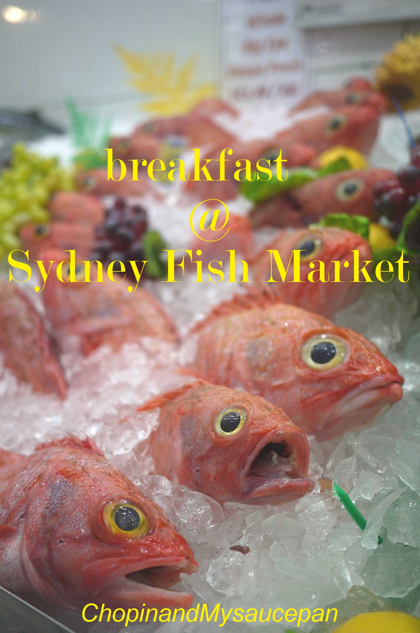 Sydney Fish Market ChopinandMysaucepan