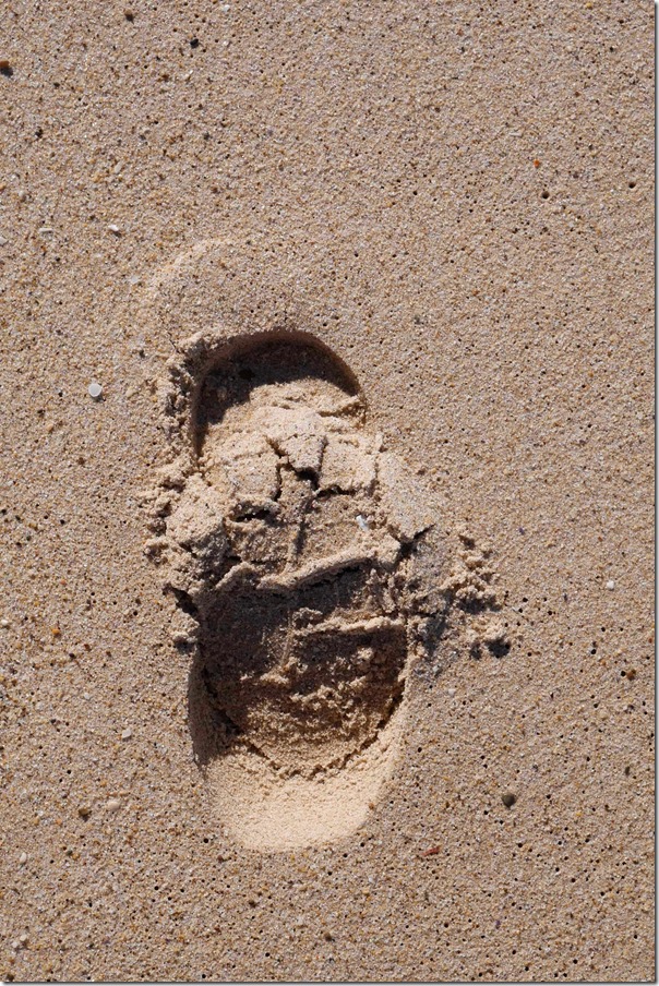 Footprint in the sand, Tuggerah beach