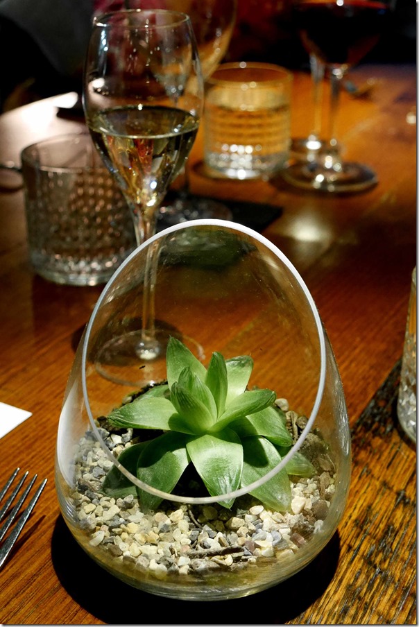 Succulent in a glass bowl
