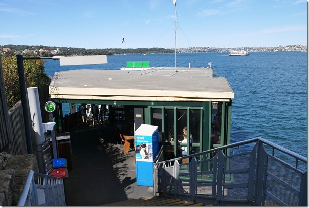 Celsius Coffee Co., Kirribilli ferry wharf