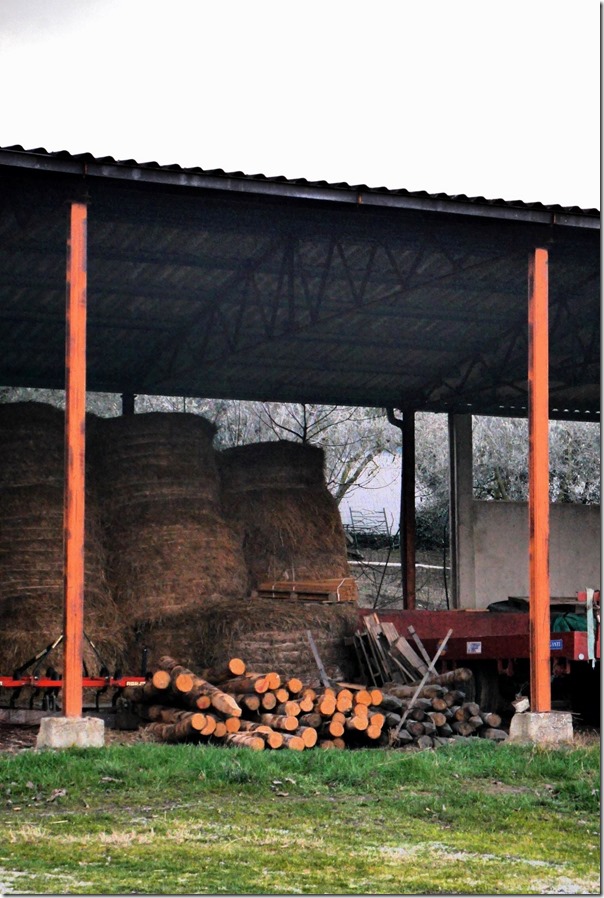 Hay and fire logs in barn