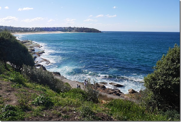 View of South Curl Curl beach from Carrington Parade