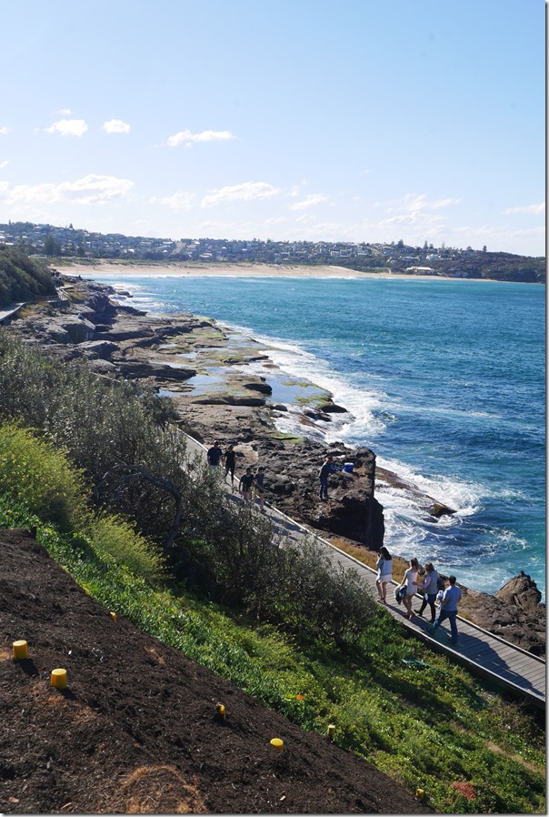 Coastal walk with northerly views of South Curl Curl beach