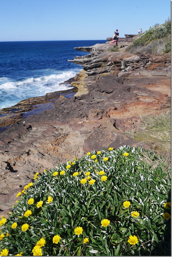 Flowers by the sea, Freshwater