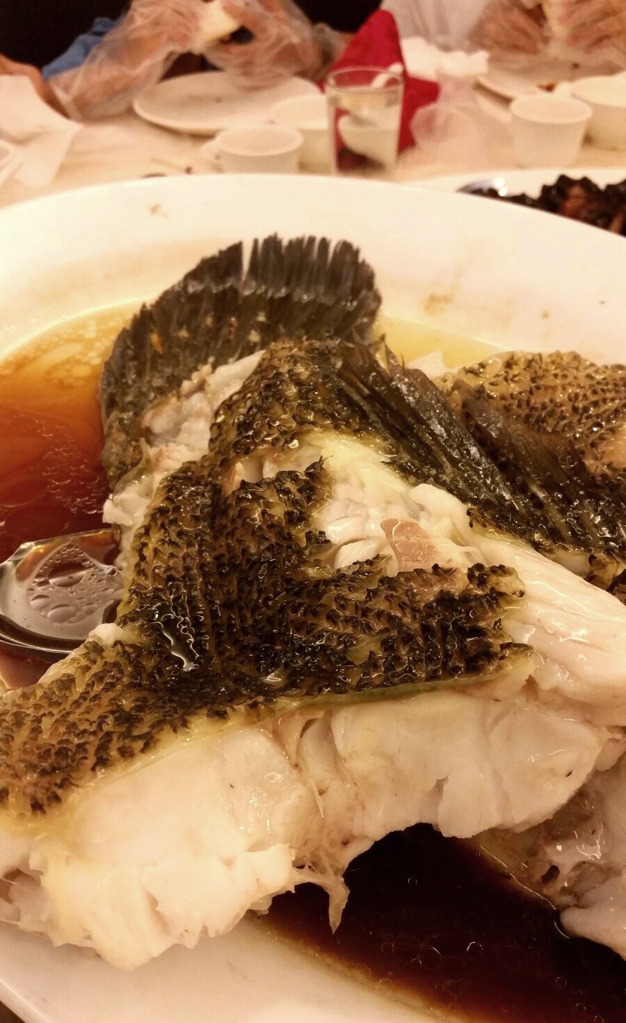 Steamed soon hock / marble goby fish Cantonese style RM475 / A$160